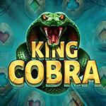 King Cobra